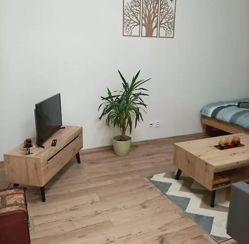 Stylovy Apartman Zemplinska