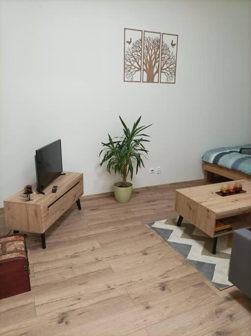 Apartment Stylovy Zemplinska Presov