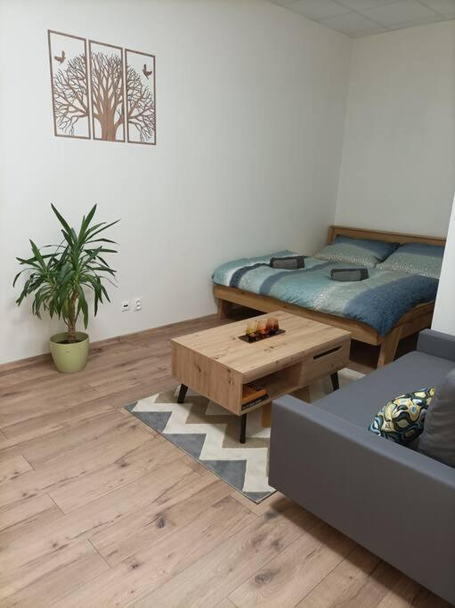 Stylovy Zemplinska Apartment Presov